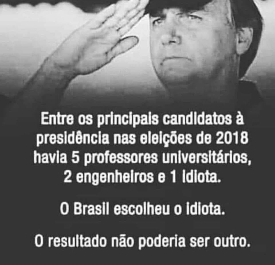 OS IDIOTAS VOTAM EM SEUS REPRESENTANTES