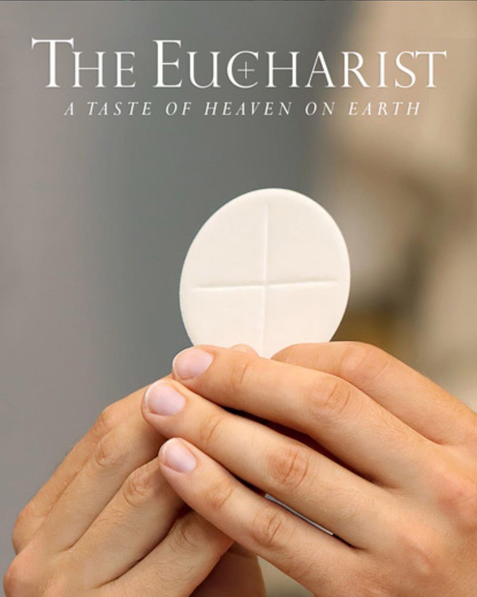 catechesispost's tweet photo. Do you receive Him as often as you can?! 🤍 #FelizMiércoles #catholic https://t.co/99aGNhhqzM