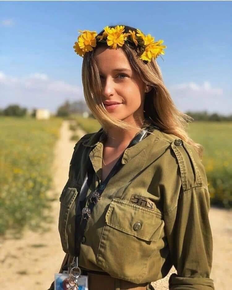 Rachel Rosenberg tweet media