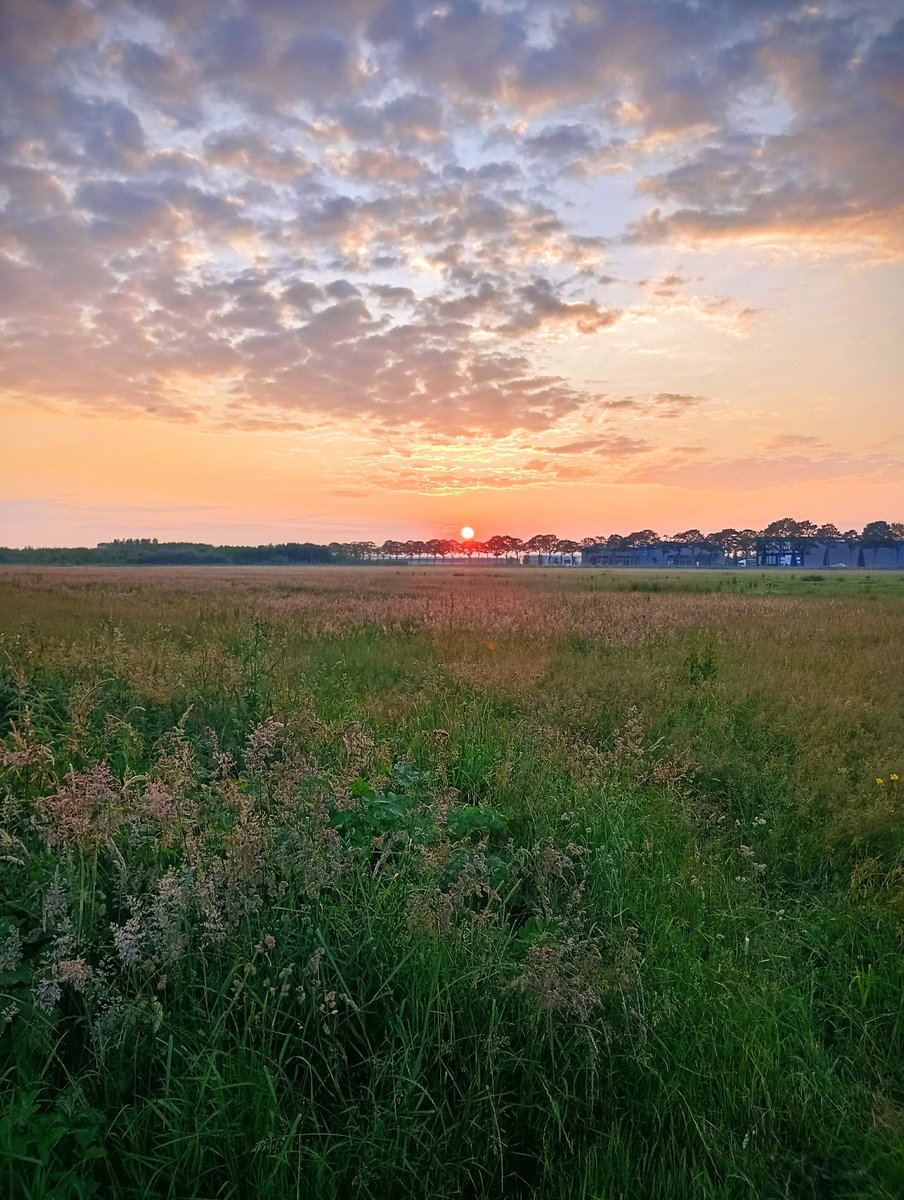 Bartol Xxx G13 (@bartekg731037) on Twitter photo 