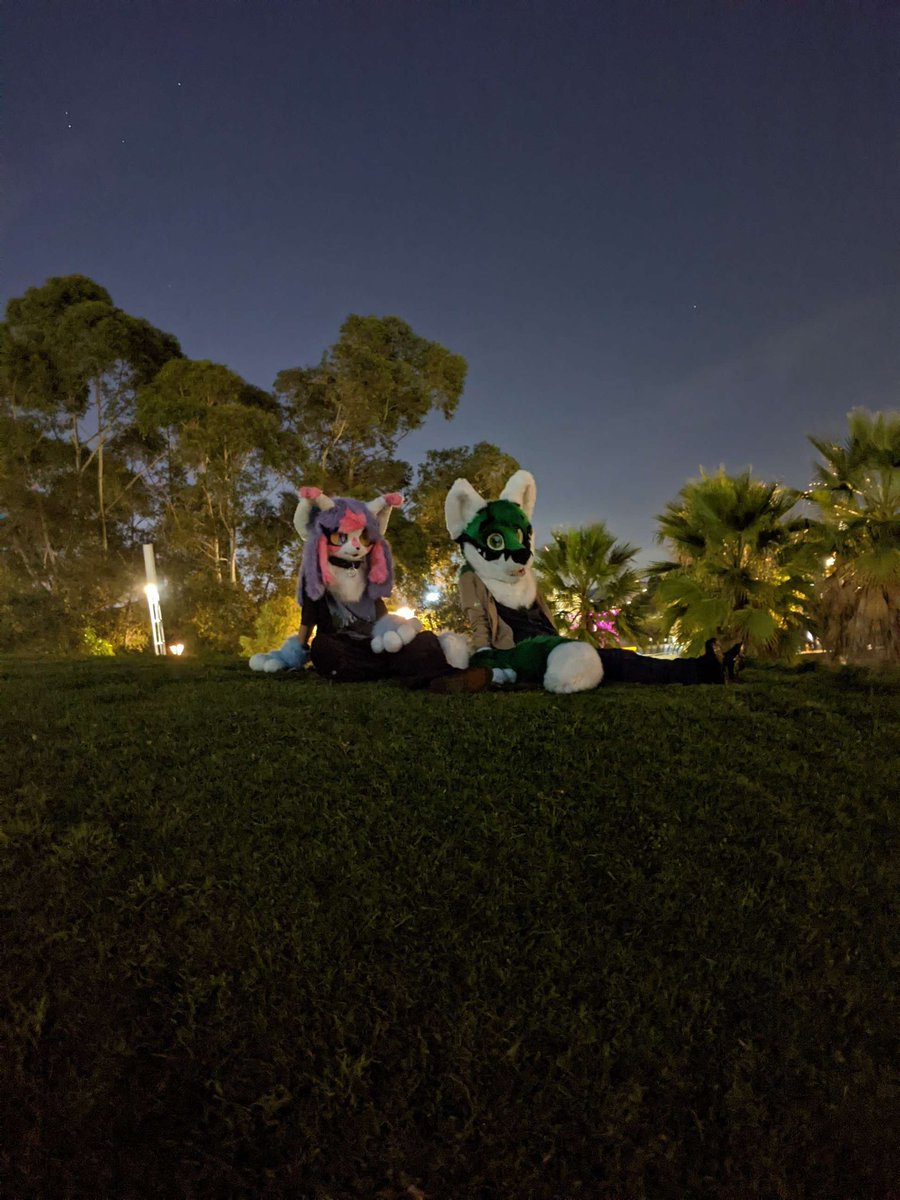 Deviltxn's tweet photo. Rrrrrrrr I love the park sm I rlly gotta go more frequently esp with my suit https://t.co/YkFoqpAahP
