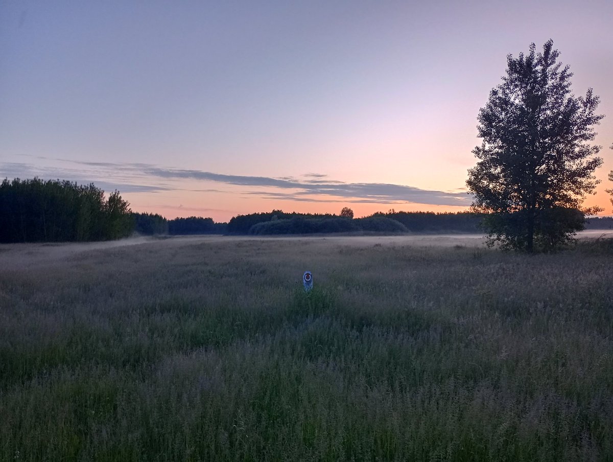 Bartol Xxx G13 (@bartekg731037) on Twitter photo 