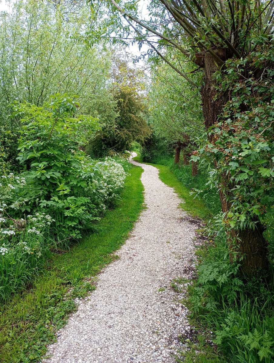 Bartol Xxx G13 (@bartekg731037) on Twitter photo 