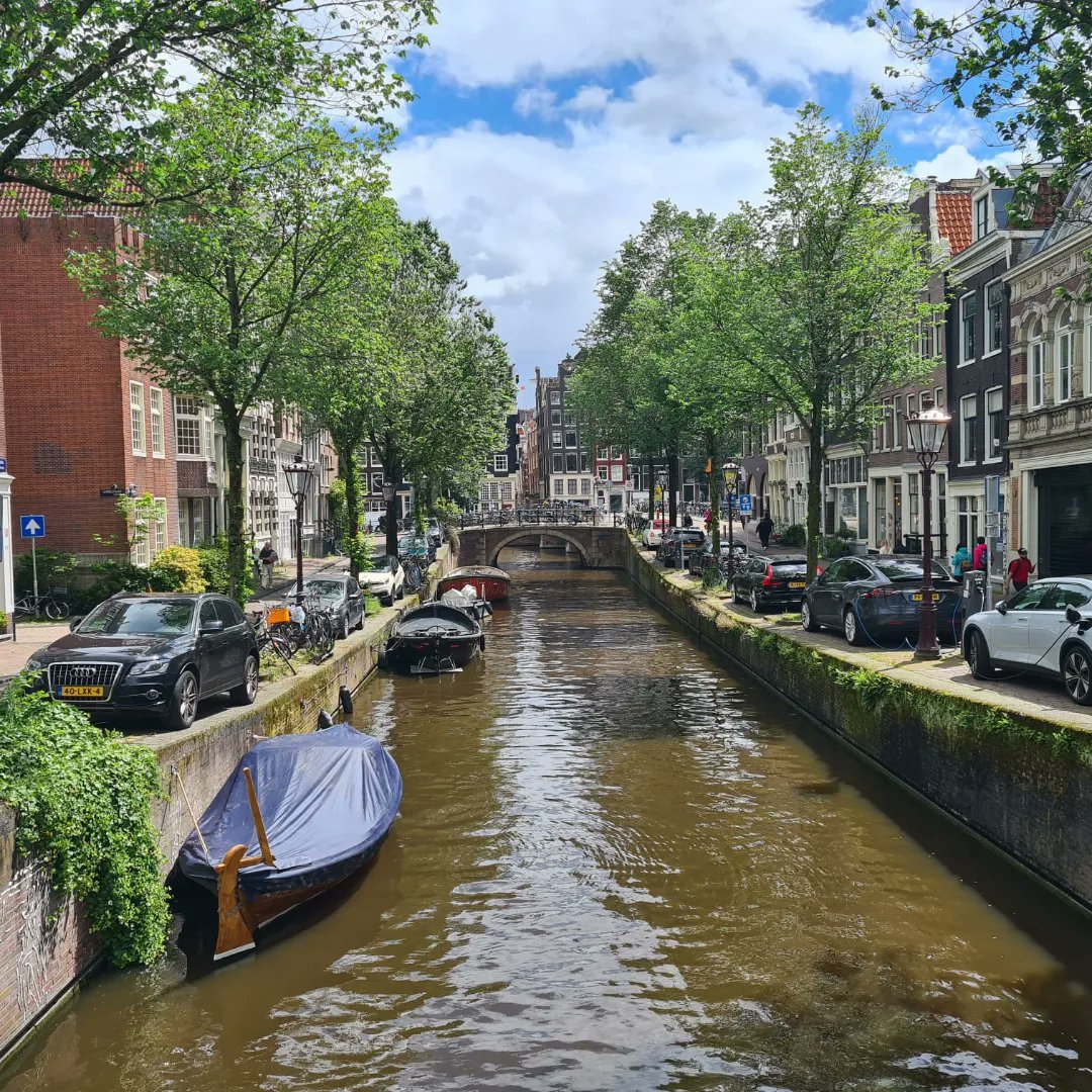 FfionRendall tweet media