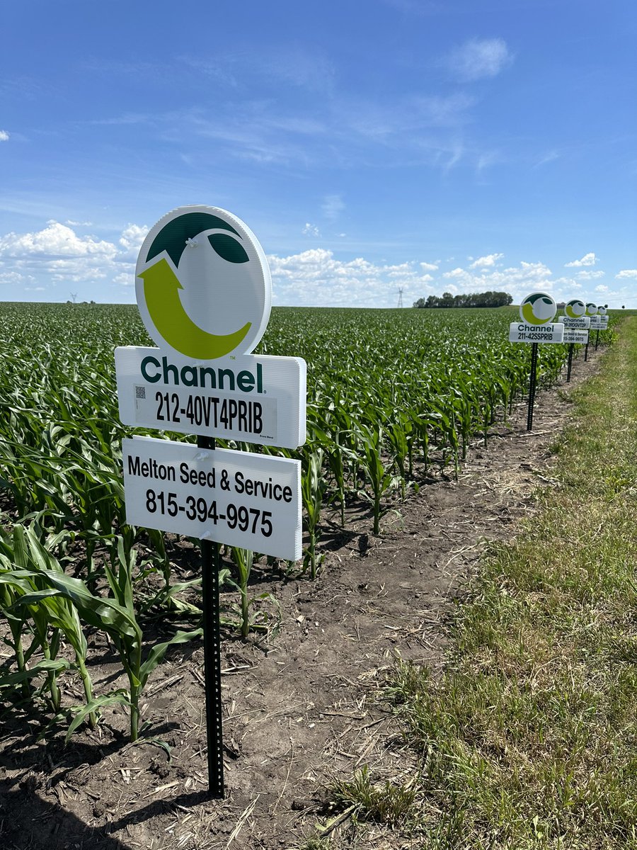 The first <a href="/ChannelSeed/">Channel Seed</a> <a href="/ChannelSeedNIL/">Channel N. Illinois</a> plot signs I have seen in my territory. Thanks to Melton Seed Sales for getting them up. They look great!  Can’t wait to see all the new Channel Seed signs this summer.