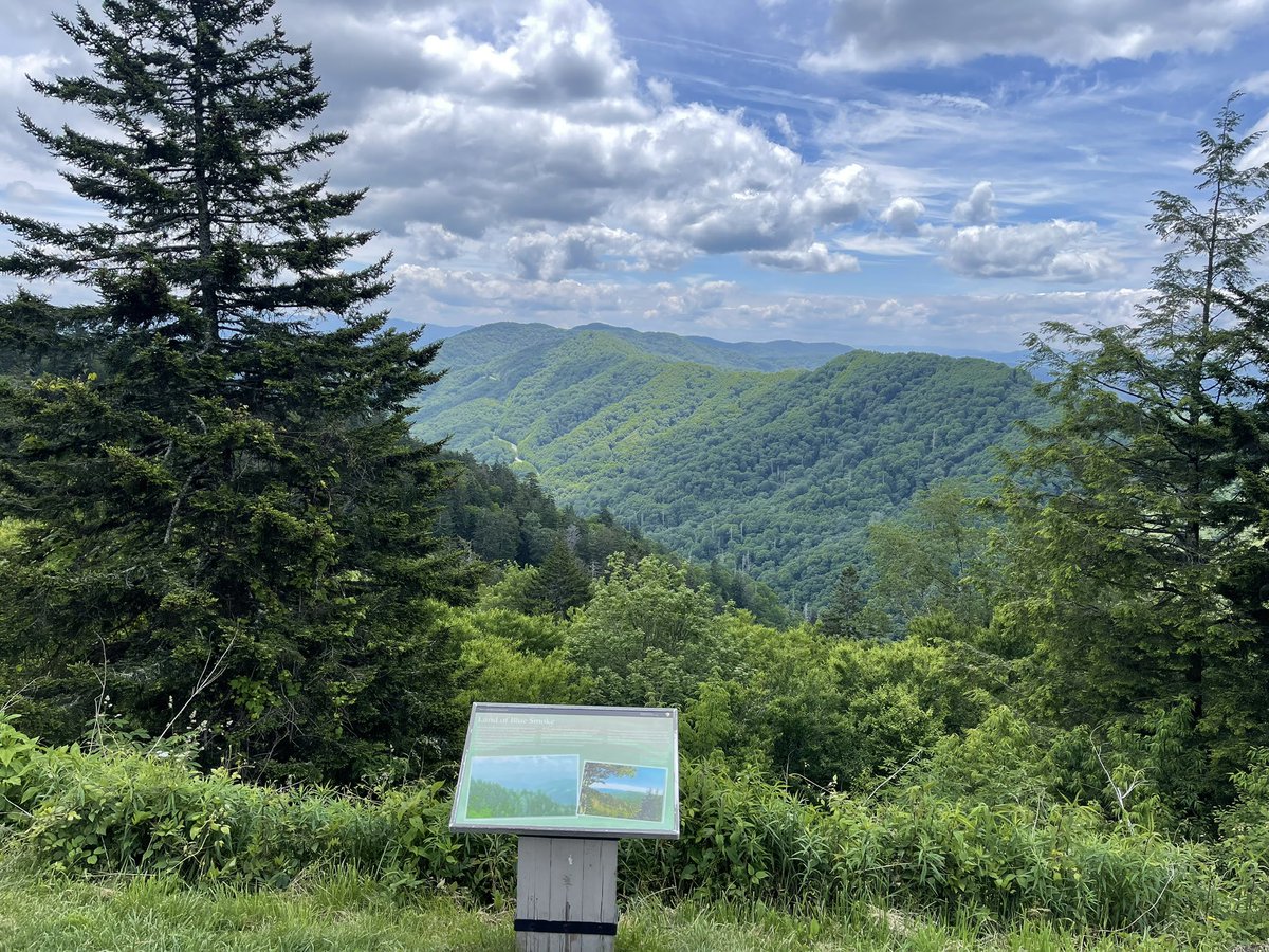 sakins83's tweet photo. Newfound Gap today @spann https://t.co/oxrNezcCCr