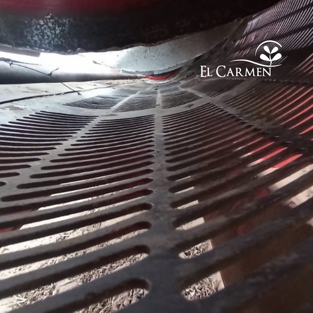 Semillasdemani's tweet photo. Como en nuestra planta de proceso, en el campo también estamos comprometidos con la trazabilidad y pureza de nuestras variedades. Cada cambio de variedad y limpieza a cero de maquinaria y camiones. Gracias por el compromiso de nuestra gente. https://t.co/een6hWwalz