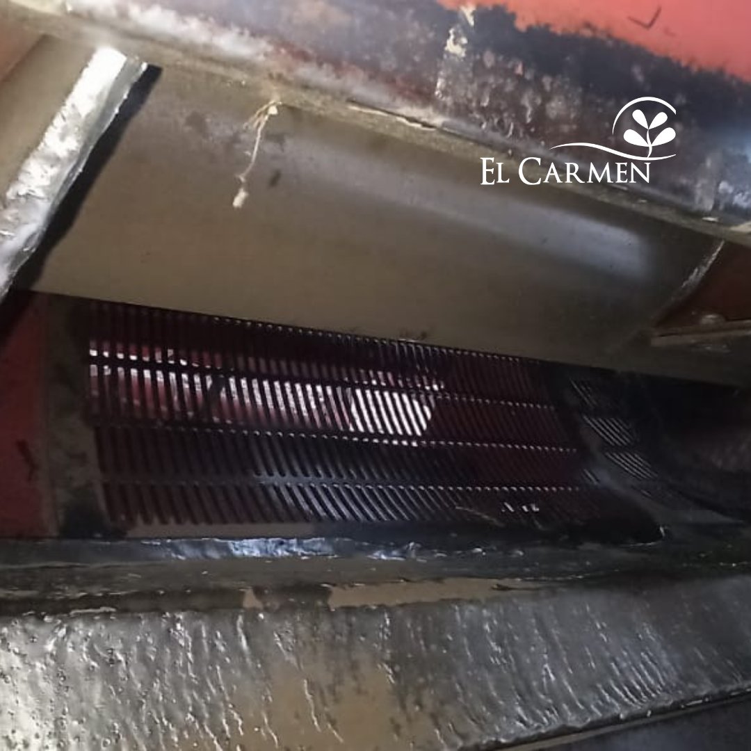 Semillasdemani's tweet photo. Como en nuestra planta de proceso, en el campo también estamos comprometidos con la trazabilidad y pureza de nuestras variedades. Cada cambio de variedad y limpieza a cero de maquinaria y camiones. Gracias por el compromiso de nuestra gente. https://t.co/een6hWwalz