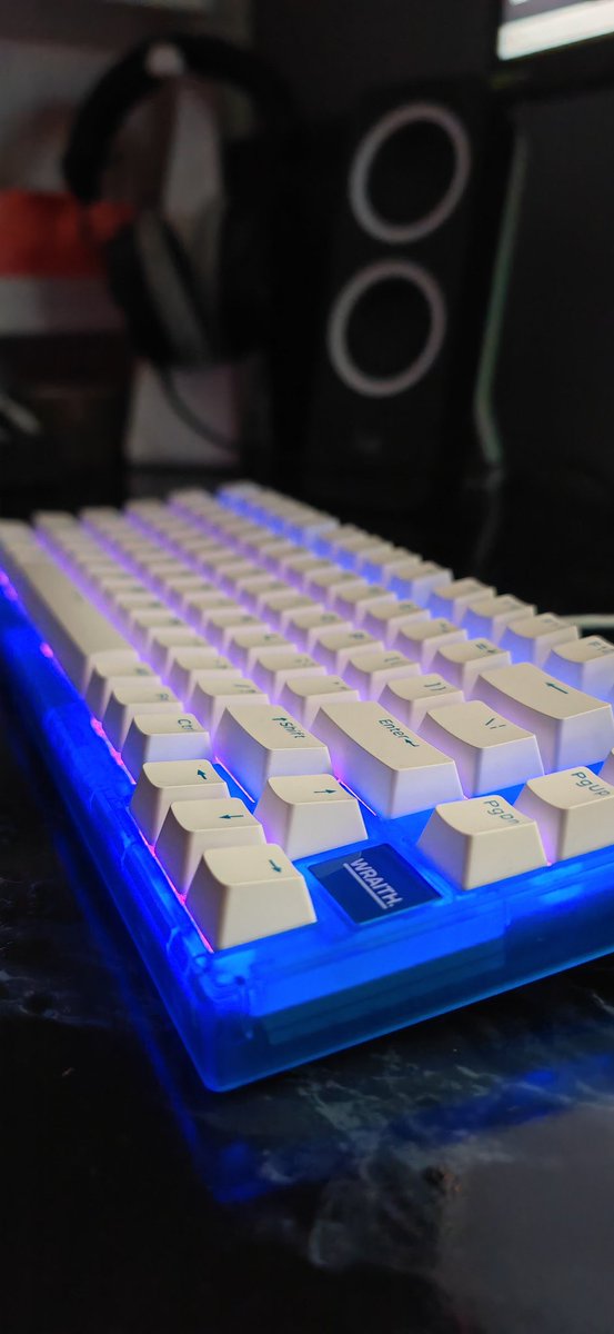 Corlitech's tweet photo. WRAITH W75
UN VRAI POULET 🐔
8K HZ/ GASKET MOUNT/ GATERON Ks20U/ keycaps pbt double shot
#customkeyboard #claviercustom #claviergamer
Dispo sur @MaxEsportGG les gars lien en bio https://t.co/Es6LyPNvmJ