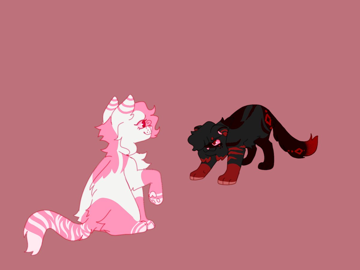 XDallasS2's tweet photo. Two littles kitties hehe:'), I'm new around here, hope you guys like me https://t.co/ZruKs1EQ52