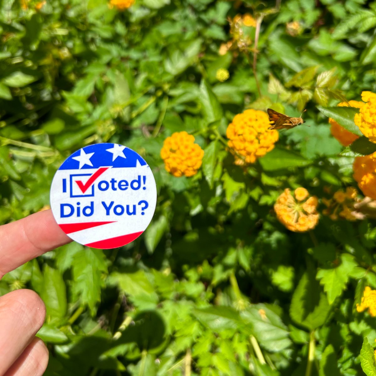 We aimed high, and the results are in! Learn about our primary election victories, the runoffs ahead, and the trends shaping our progress. Click here for the full results: cvsc.org/elections/