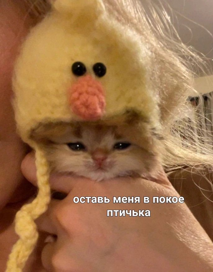 Серёжа в #мги