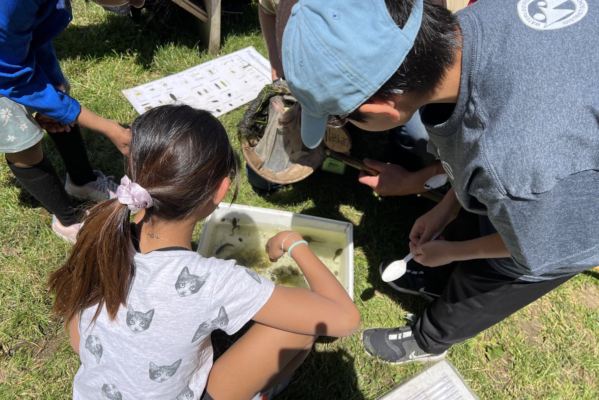 Kimiko Shibata 🦋 tweet media