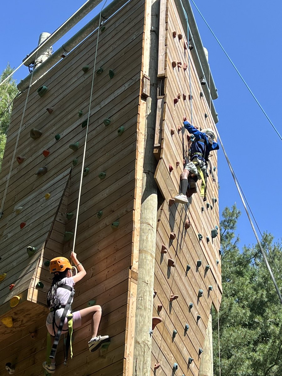 Kimiko Shibata 🦋 tweet media