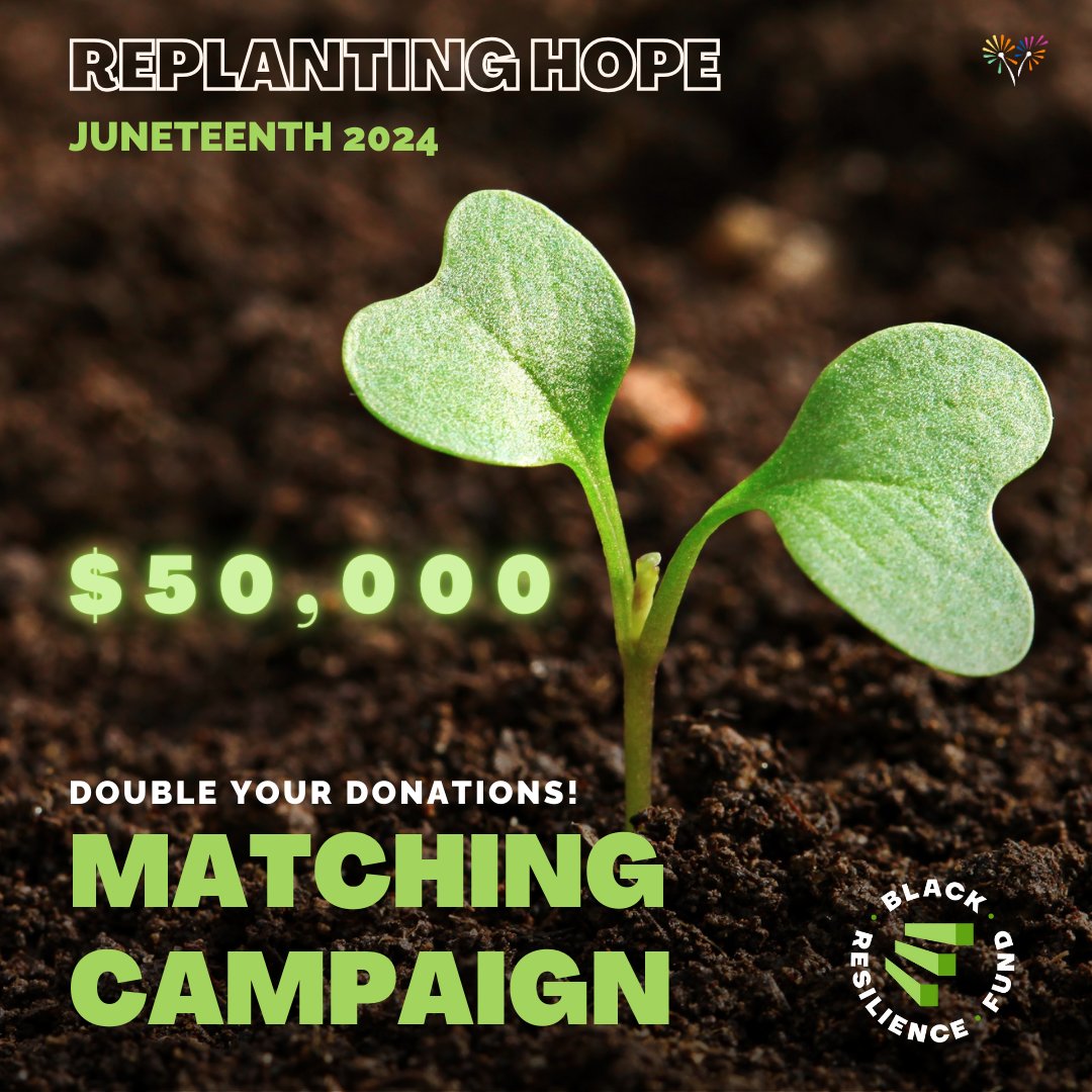 Thanks to a generous donor, you can now double your donations all June and July! Up to $50,000 supporting our village building program with income guarantee cohort of 25 black families! Donate today: bit.ly/3UJ5PTM