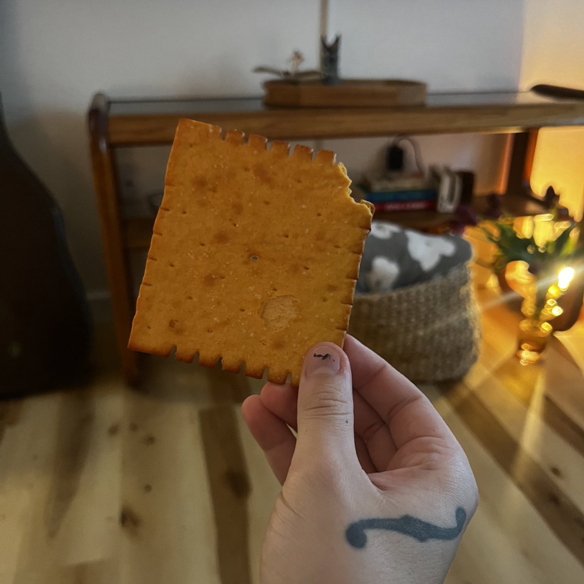 juicyfruitsnacc's tweet photo. what the fuck is this https://t.co/vu18FRjRZr