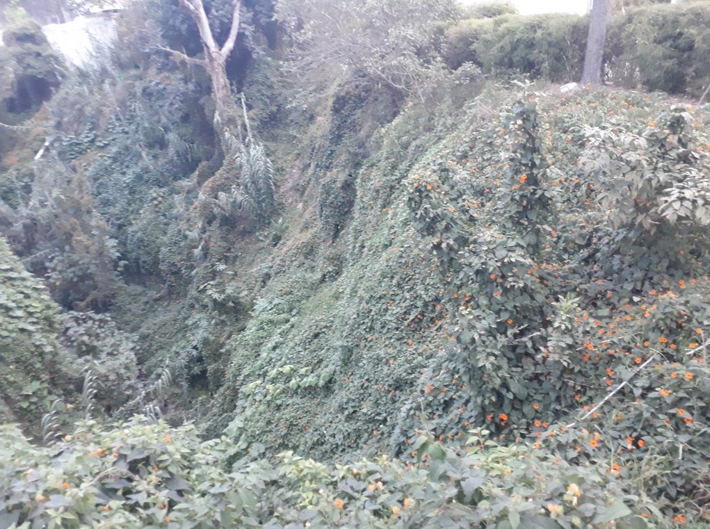 Esta belleza es la #QuebradaRumihuaico en #Tumbaco Concejal <a href="/fidelchambav/">Fidel Chamba V</a> 
Rumi = Piedra
Huaico = Quebrada o aluvión