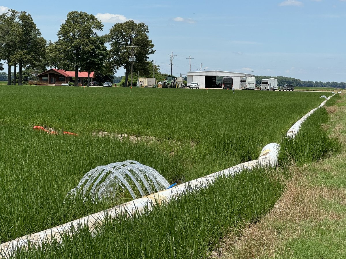 James Callicutt tweet media