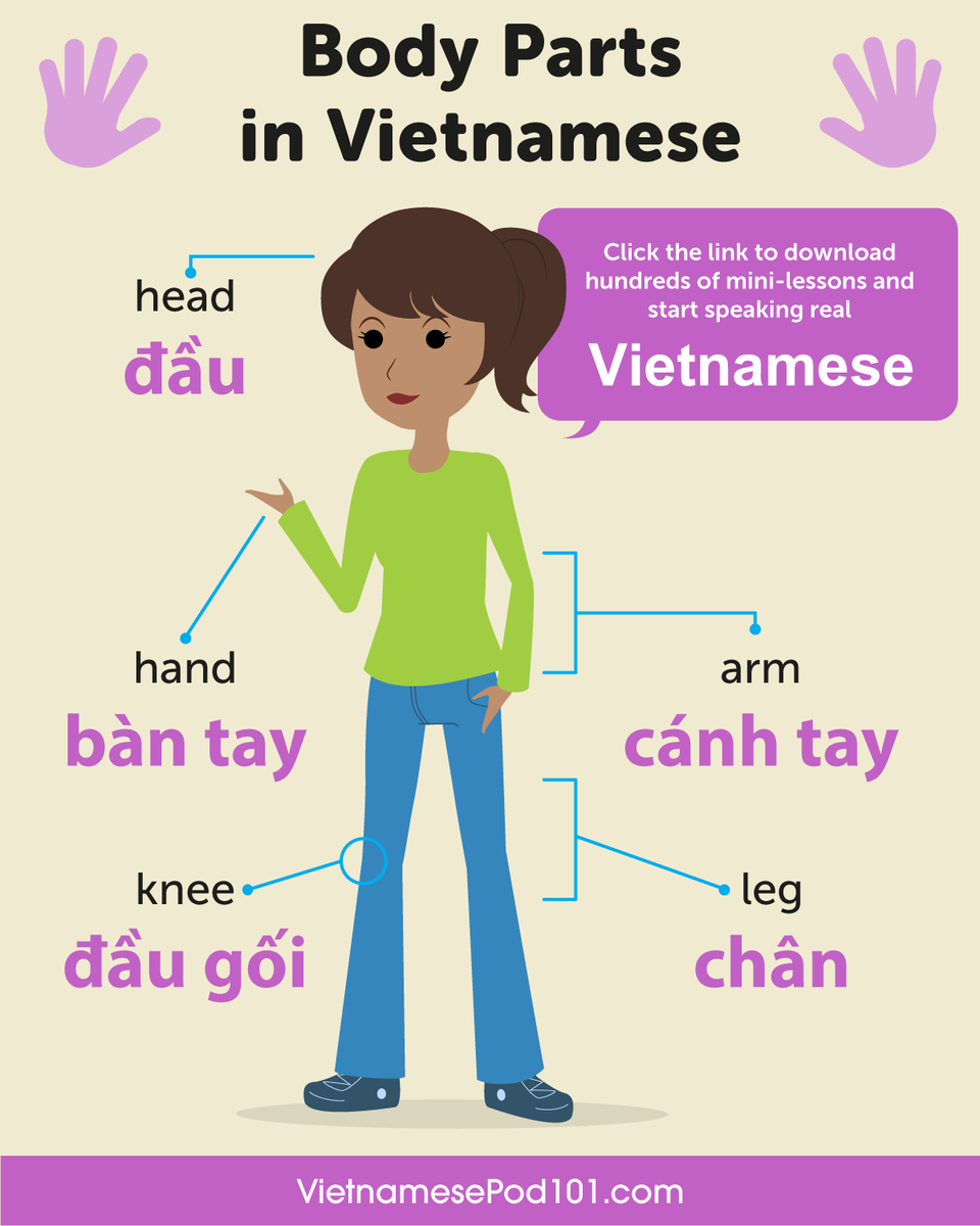 VietnamesePod's tweet photo. Expand your vocabulary! Study Body Parts in Vietnamese! 👄👍 PS: Learn Vietnamese with the best FREE online resources, just click here https://t.co/IsvAmD9QFQ https://t.co/DObKKAwXeE