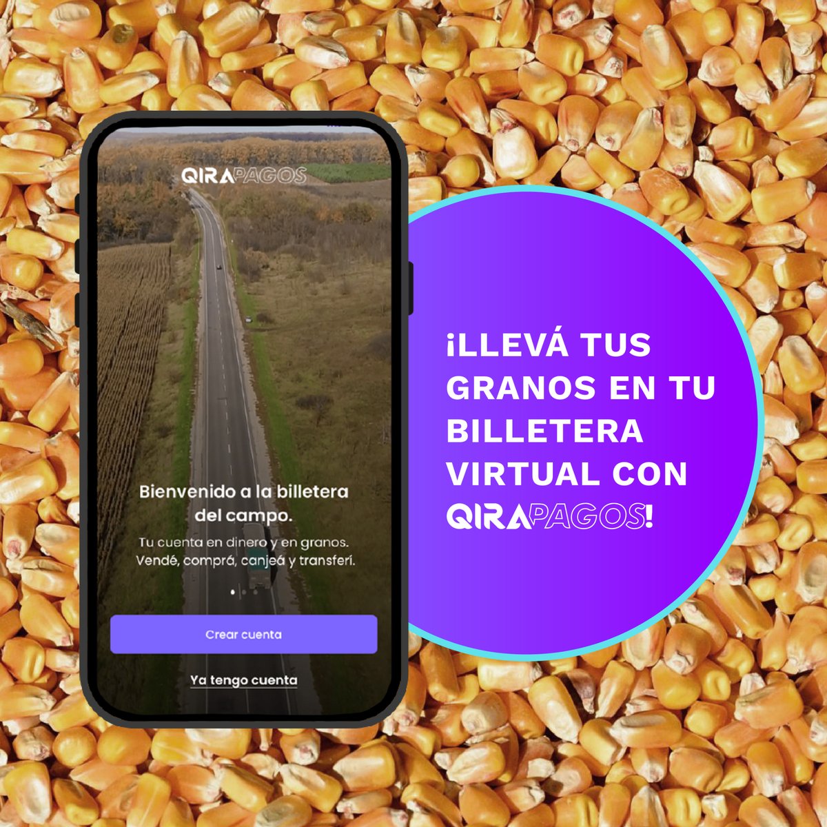 qirapagos's tweet photo. QIRA Pagos, la billetera que te permite administrar tus granos. 🌾

Tus ventas y canjes de granos ahora son más fáciles y seguras con nuestra billetera virtual del campo. 😉

Más información 
👉🏻 https://t.co/t0AIXDKDtq

#QIRAPagos #AgriculturaDigital 
#LaBilleteraVirtualDelAgro https://t.co/hlk7XZRK6q
