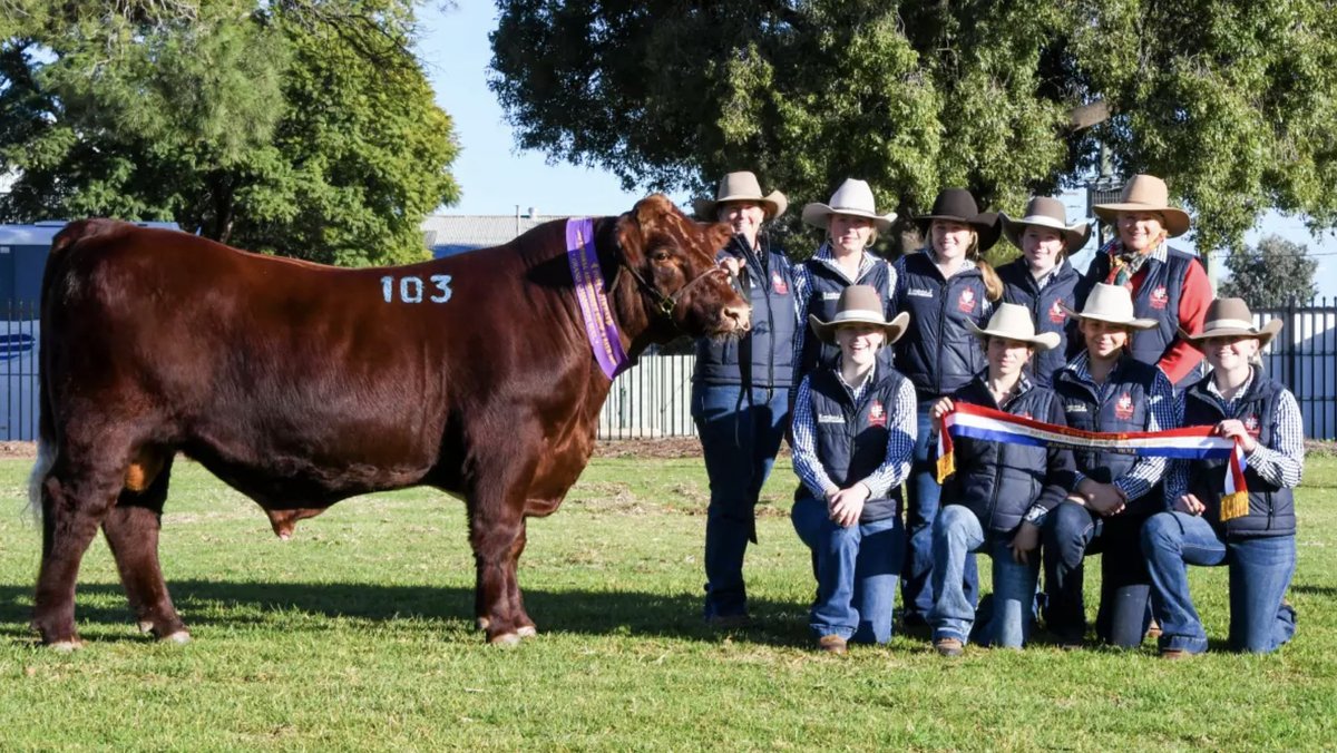 Calrossy tweet media