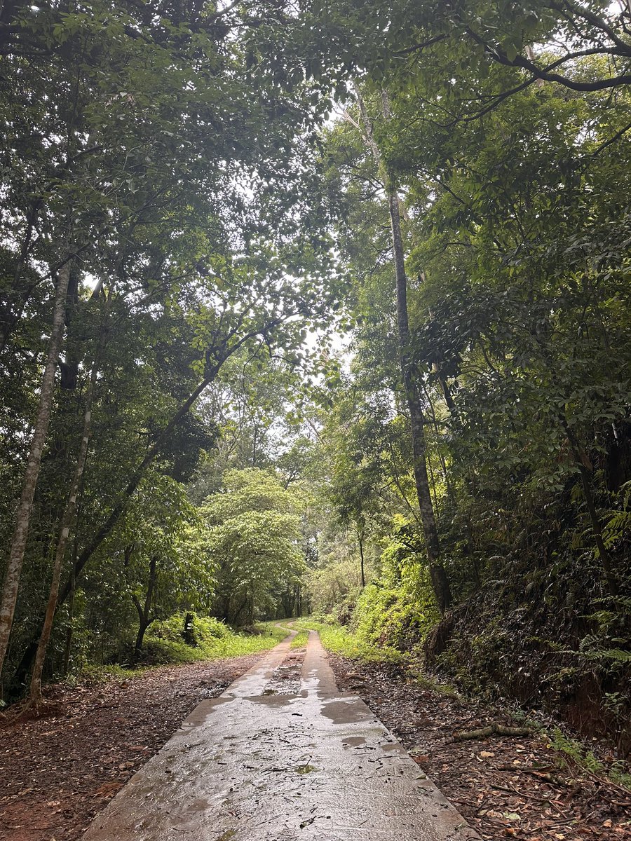 Dr_AJ_MD's tweet photo. Finally! After a long wait 😅🥳☘️
#ThePathTravelled #LongestWait #HopeForTheBest #AfterALongtime #RoadNotTaken #NewRoads #EnrouteInsideTheForest #ClickOnTheMove https://t.co/4ZFs5qws2y