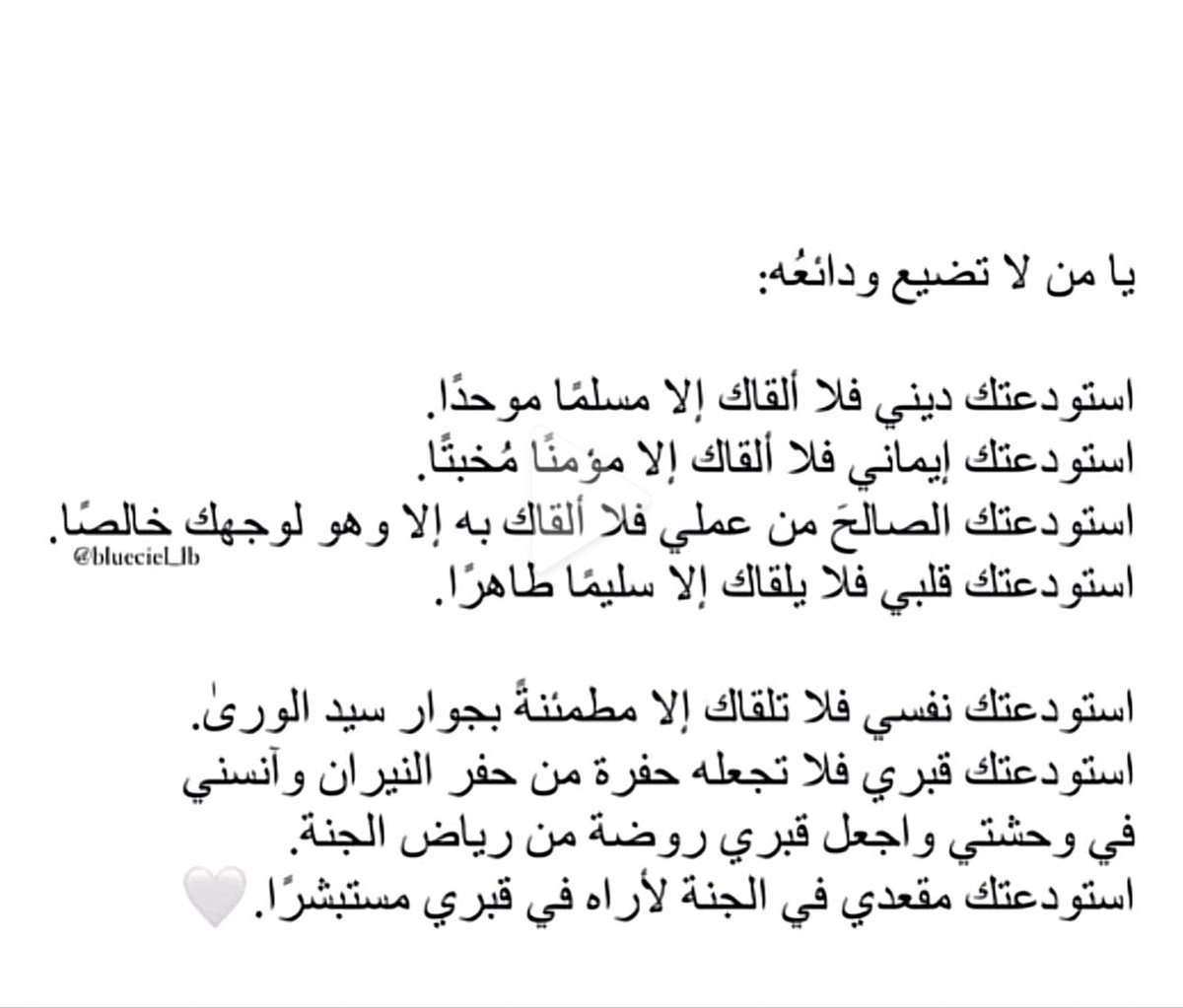 . tweet media