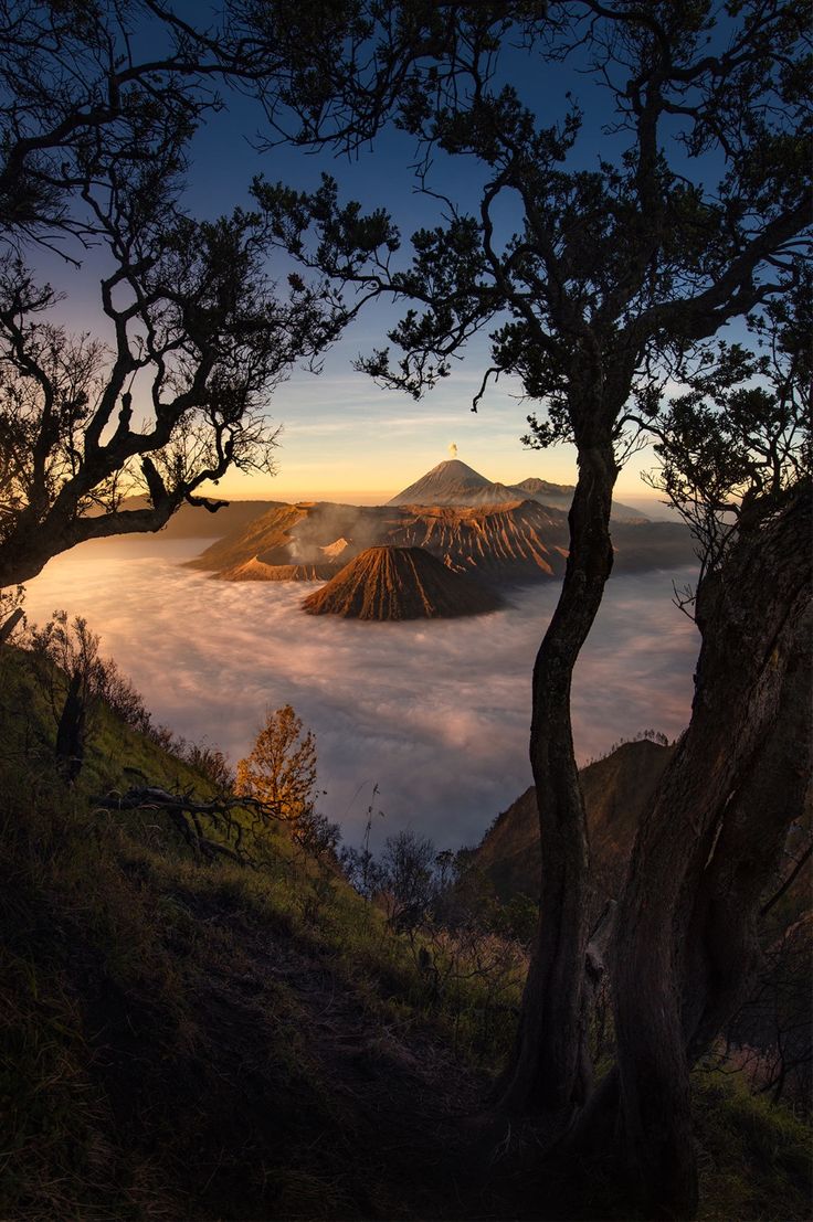 KSsenawang's tweet photo. Bromo merupakan salah satu gunung berapi yang paling terkenal di Indonesia, terletak di Jawa Timur. Gunung ini dikenaloi dengan keindahan pemandangan yang menakjubkan serta fenomena alam yang unik.
Gunung Bromo menjadi salah satu destinasi wisata yang sangat populer di Indonesia. https://t.co/whsi1lRDuW