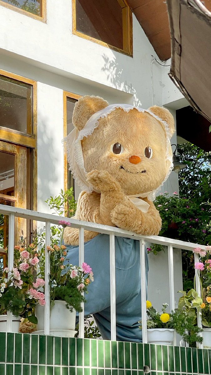 Starryhoshi's tweet photo. หมีเนยเซตนี้น่ารักมากกกก สมเป็นไอเดิ้ลสาว #BUTTERBEAR https://t.co/sDIZfFxv6N