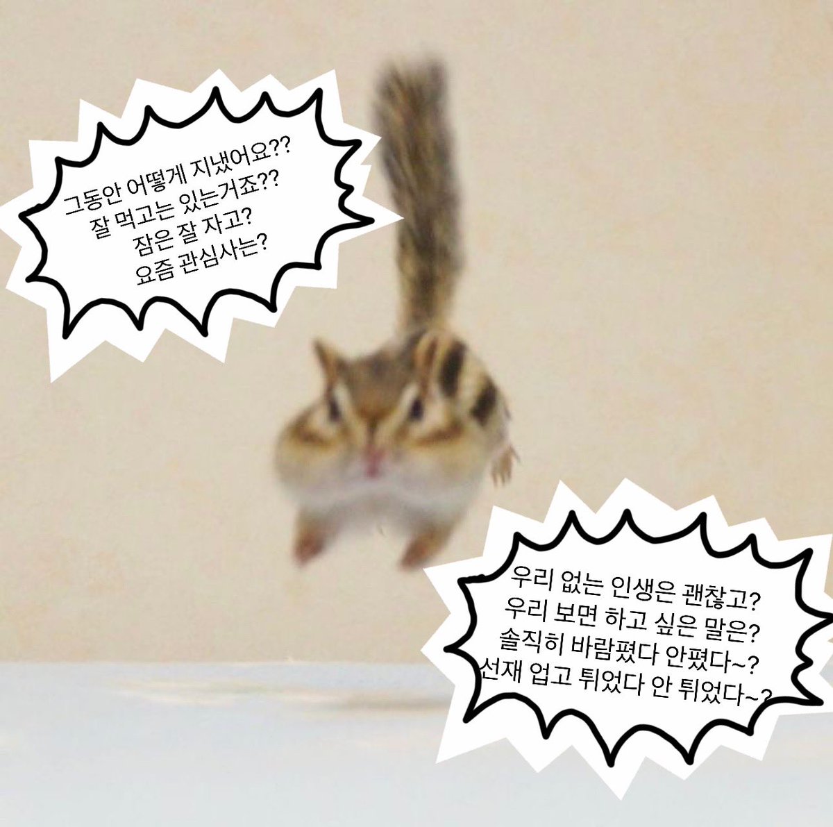 __egoegoego's tweet photo. 물음표살인마람쥐발견 https://t.co/Cx2swWZmyr