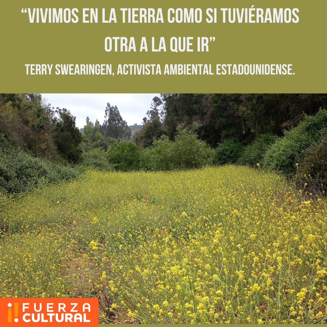 En el mes del medio ambiente destacamos la frase del activista norteamericano Terry Swearingen.
#medioambiente
#fuerzacultural