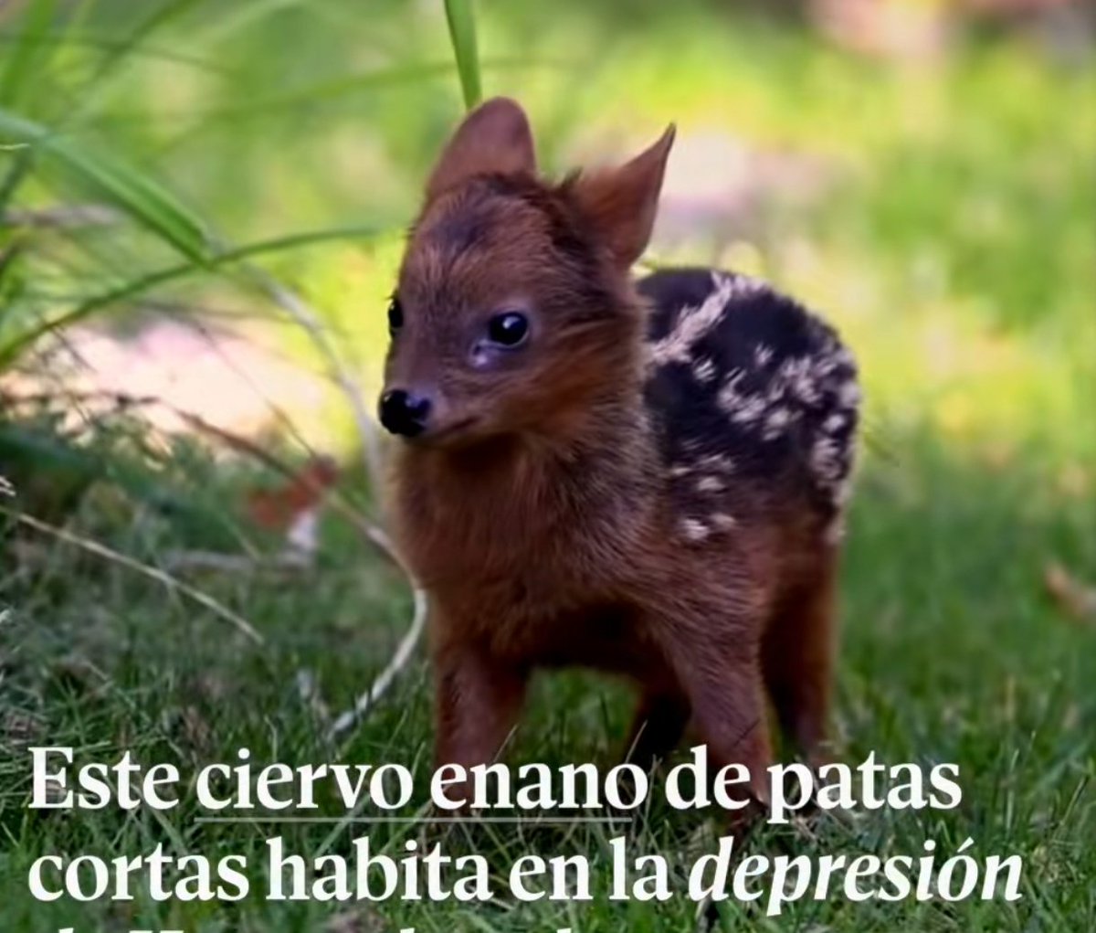 no me hablen