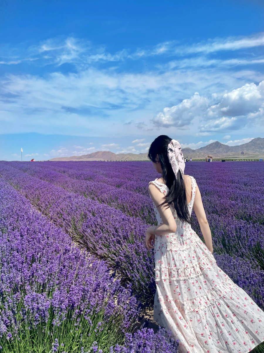 あなたの人生が花の海に包まれますように
✨