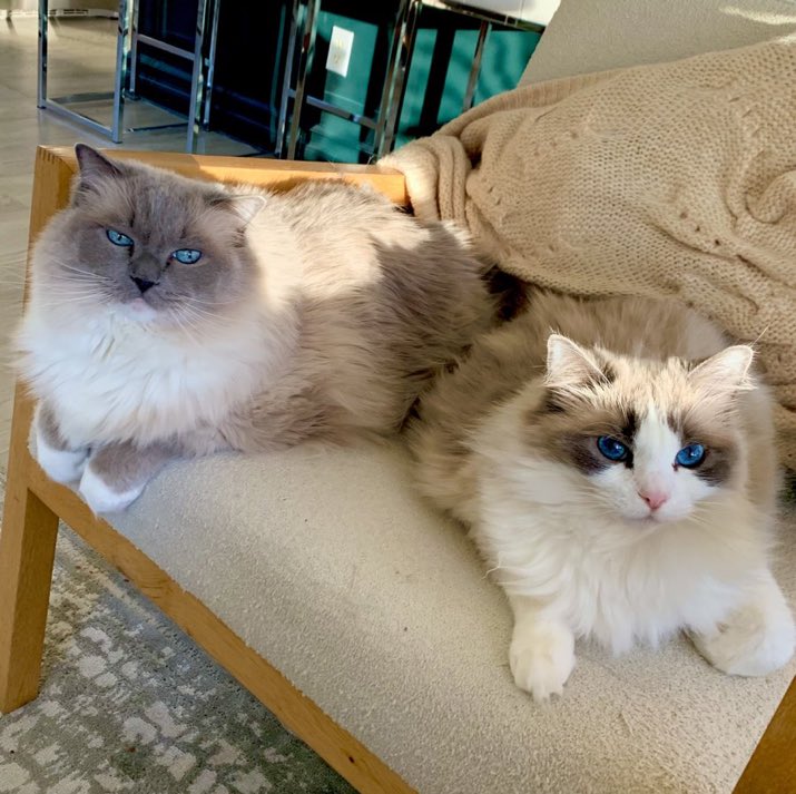 goemom's tweet photo. https://t.co/flmFmz1HEU