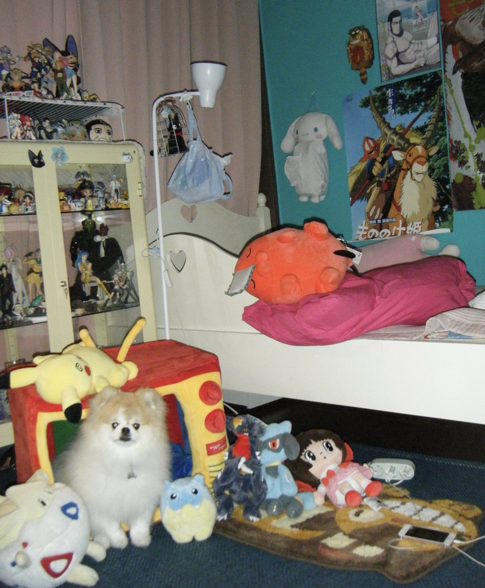 티비 채널돌려도 
계속 이상한 돼지?강아지만 나옴…;;