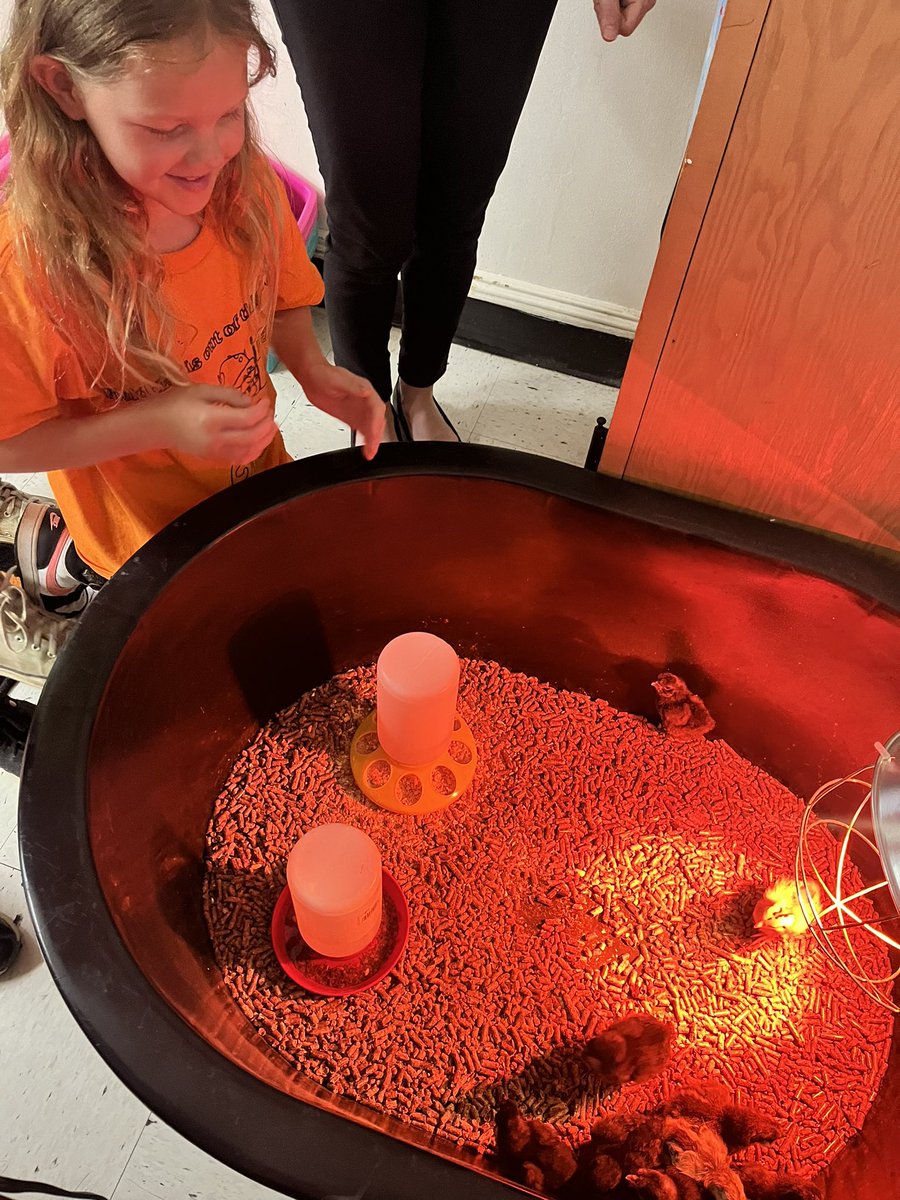 Hilary Veth Quinn tweet media