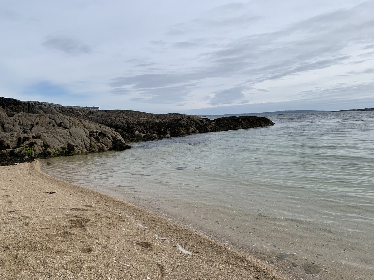lavenderghostco's tweet photo. There are a LOT of beaches πποΈποΈ
#SaveLockwoodandCo
#AmazonSaveLockwood https://t.co/1wDOYhCHws