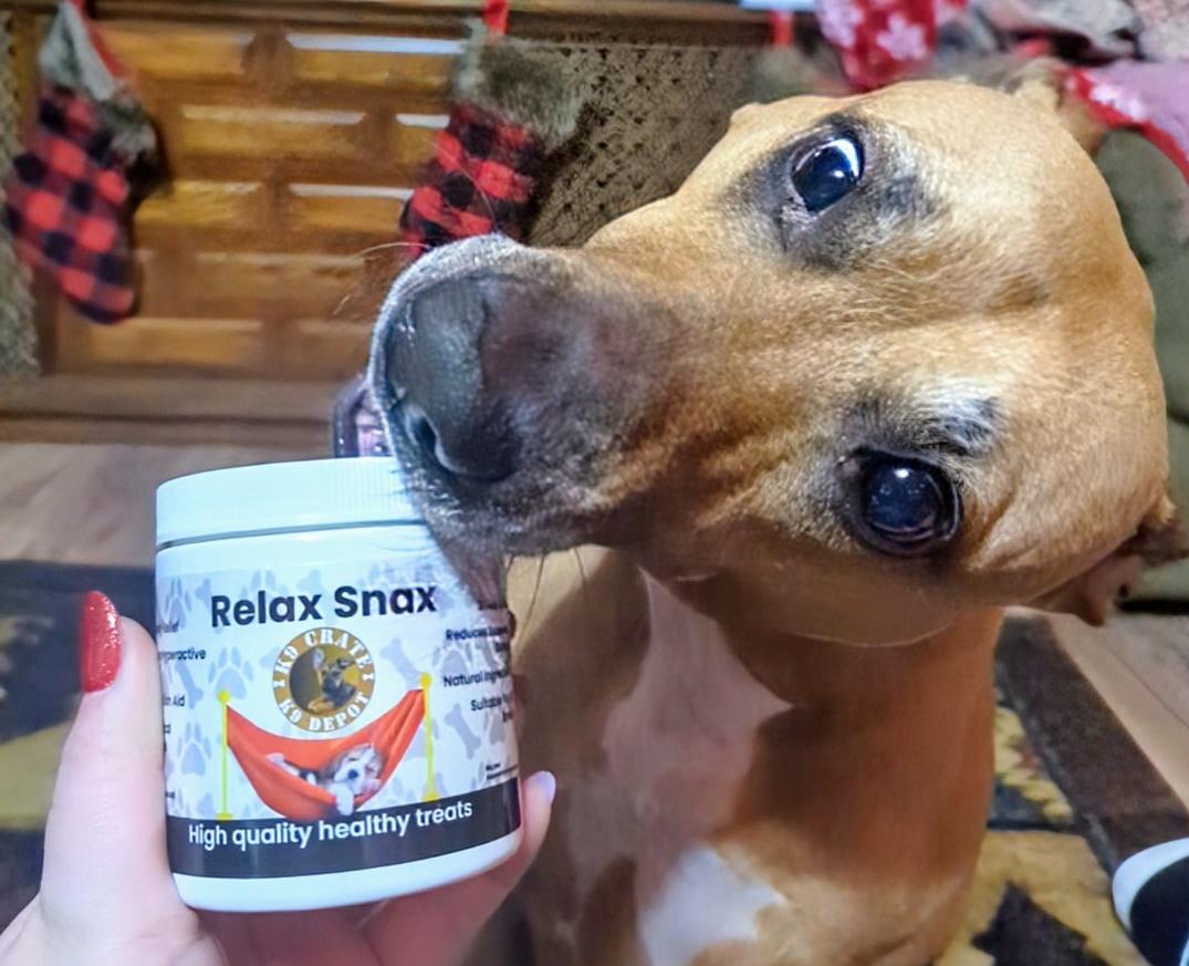 KHops_'s tweet photo. @DogSanctuaryNFT @K9DepotShop Moe loves the treats!!! https://t.co/vVfGUoNTan