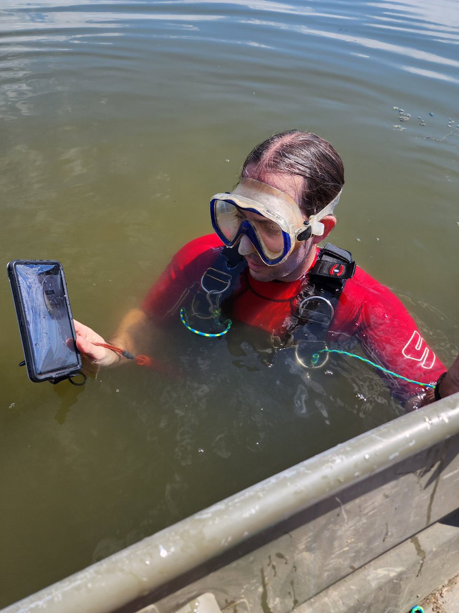 TReidNelson1's tweet image. First successful underwater data download with @Innovasea fathom. For those of us in murky water on breath holds we have some suggestions for app improvement / workflow. #trackingnotslacking

But over all success. @ESPMasonU @PEREC_GMU @GMU_COS