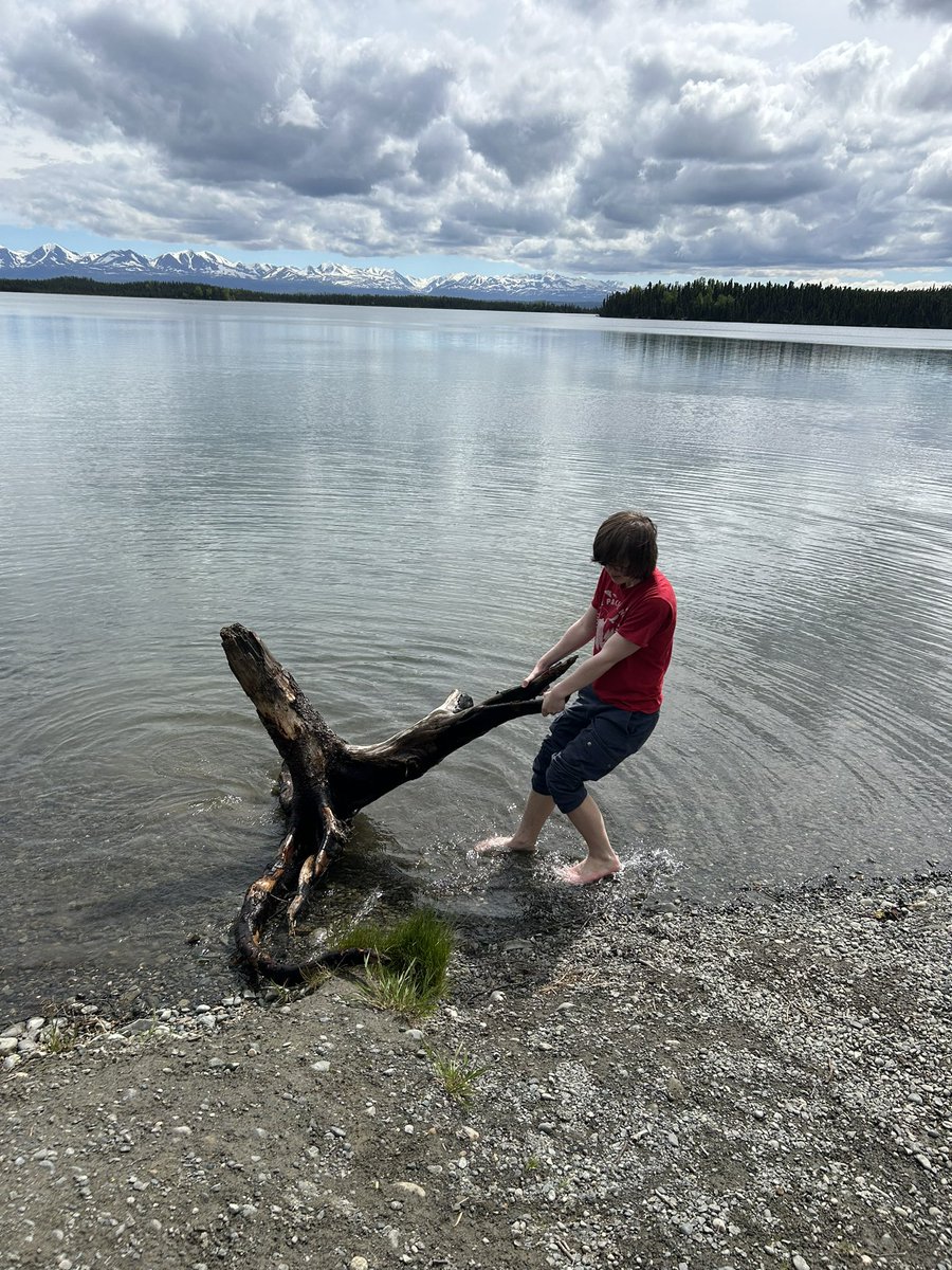 gomer2323's tweet photo. Kids, i tell ya. #AlaskaPets @Booniexd_ https://t.co/XWW7j5eAvi