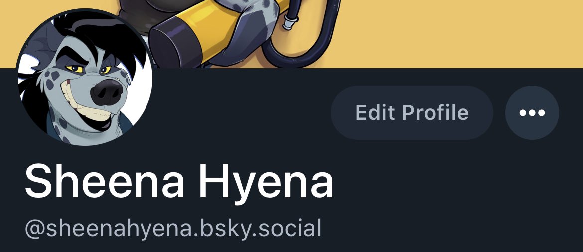 *also waves frantically and points!*