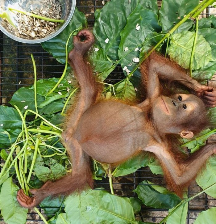 SLEEBIN ON ME SALET 😂😂🤪🤪😴😴🥗🥗