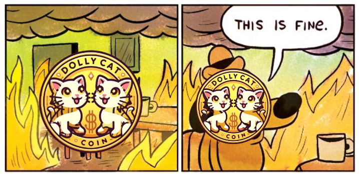 DollyCatToken's tweet photo. 🔥 We're making things even hotter! We just burned 100 million $DOCAT from the total supply! 🔥 The DollyCat Token (DOCAT) is on fire, and this burn will help strengthen our community and support stray cats even more. Join us and be part of the revolution! 🐾🚀 #DollyCatToken #CryptoBurn #SupplyBurn #CatLovers