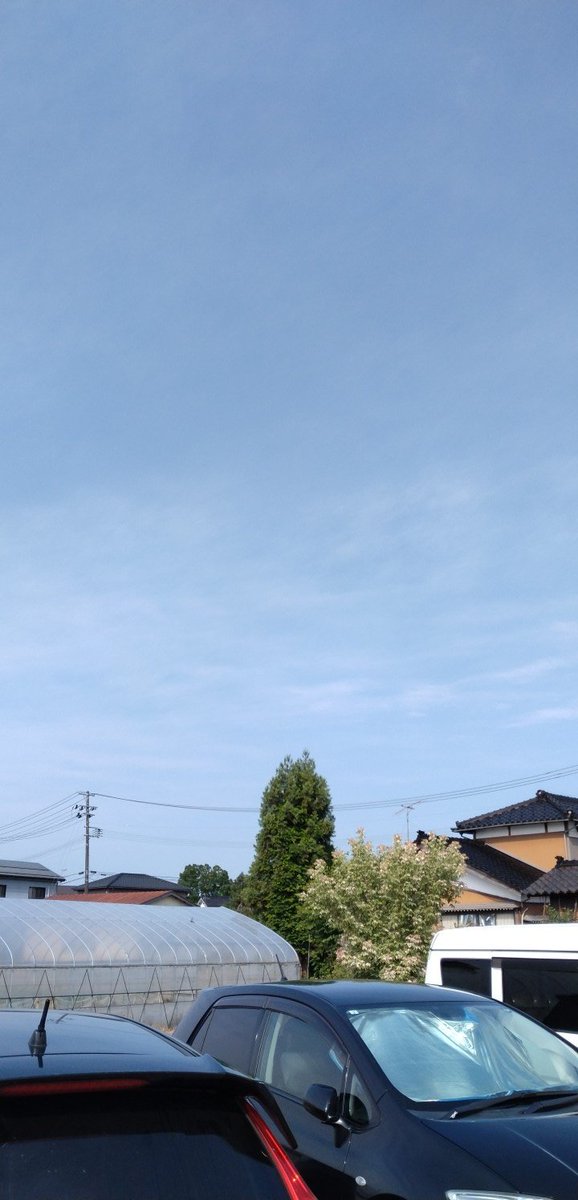 おはようございます☀︎
今日も暑くなる予報ですが朝は爽やかですね(*Ü*)ﾉ"☀

 #イマソラ