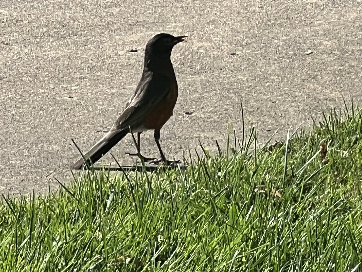 Dr. Crystal M. Watson tweet media