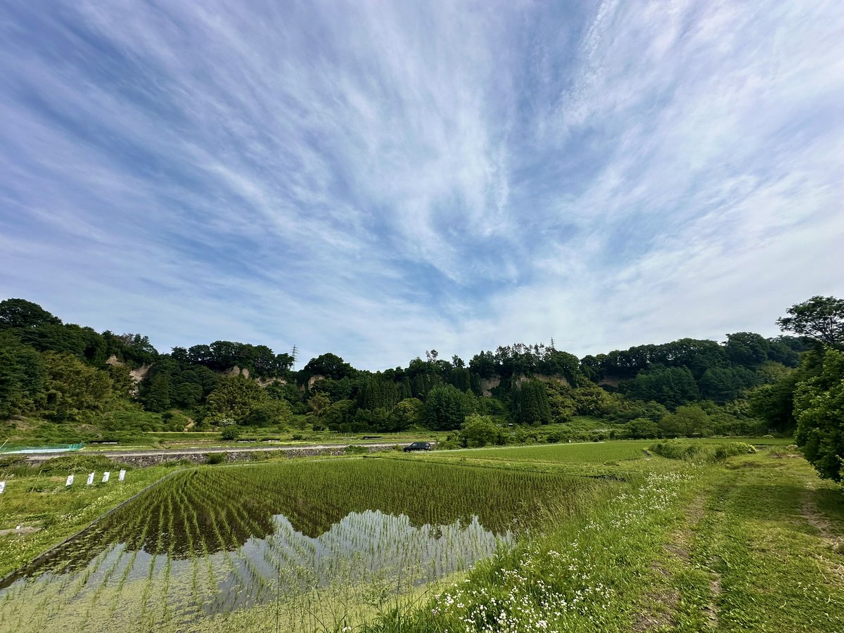 MTMT_aus's tweet photo. 今朝もこれから中野式で除草作業です。だいぶ慣れてきました。 https://t.co/Mbh8GnQAfn