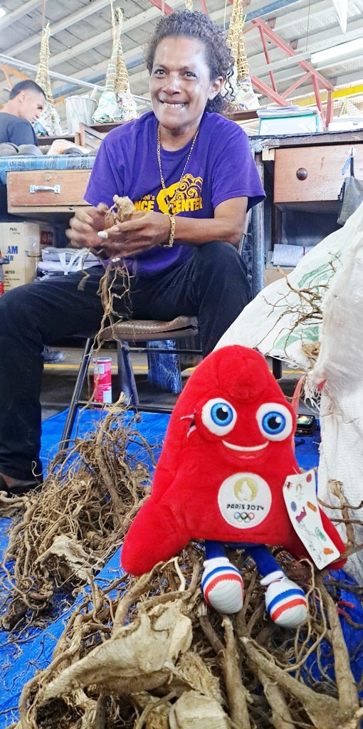 Team Fiji tweet media