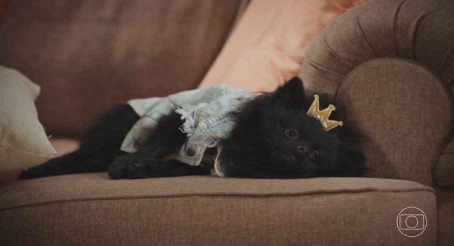 Nn acredito que ficarei sem a minha novelinha justo hj
#familiaetudo