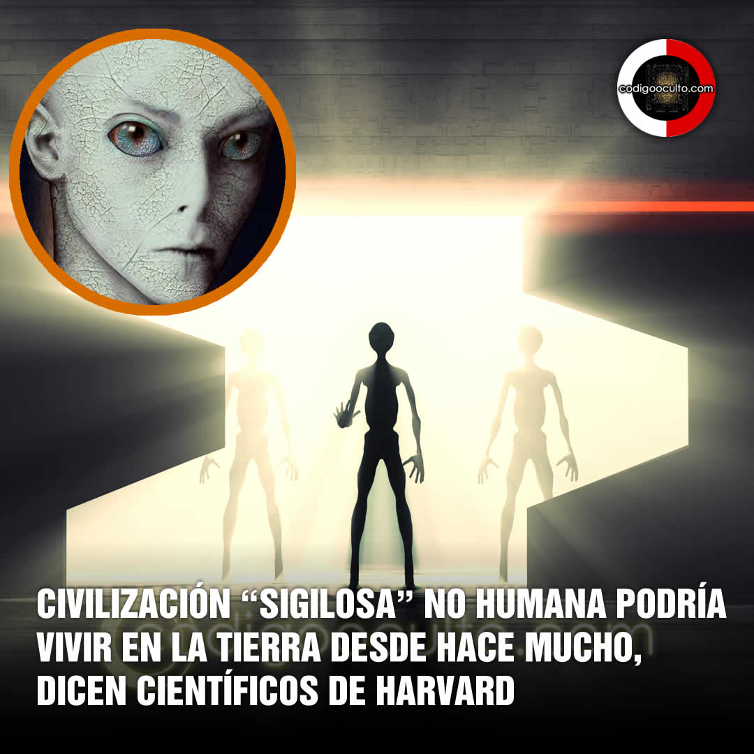 exploracionovni's tweet photo. Este título podría sorprenderte y mucho más al saber que se trata de una investigación realizada por científicos de la Harvard.
Se refieren a ellos como #criptoterrestres https://t.co/AceltTsFKp
