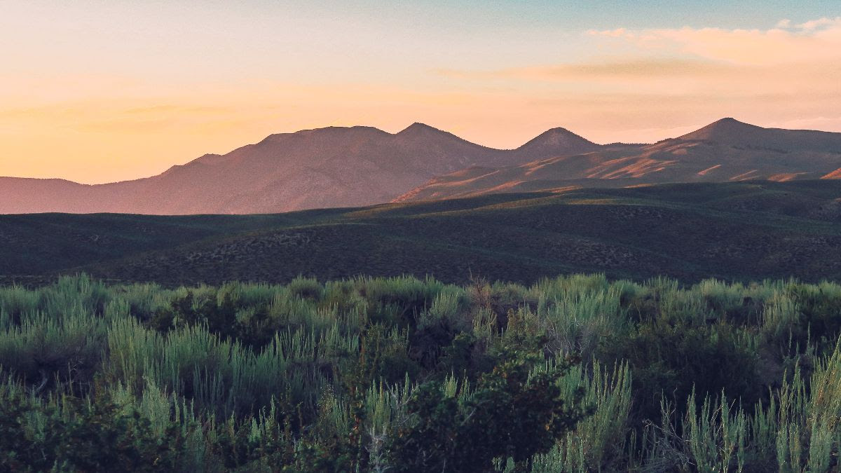 We can't afford to fail! The world watches as CA, the 4th largest economy, tackles climate change. Don't defund the Habitat Conservation Fund! Fund conservation, keep our promises, &amp; prevent climate catastrophe. #protectthehcf #caleg #cabudget @Ilike_Mike @Caspeakerrivas